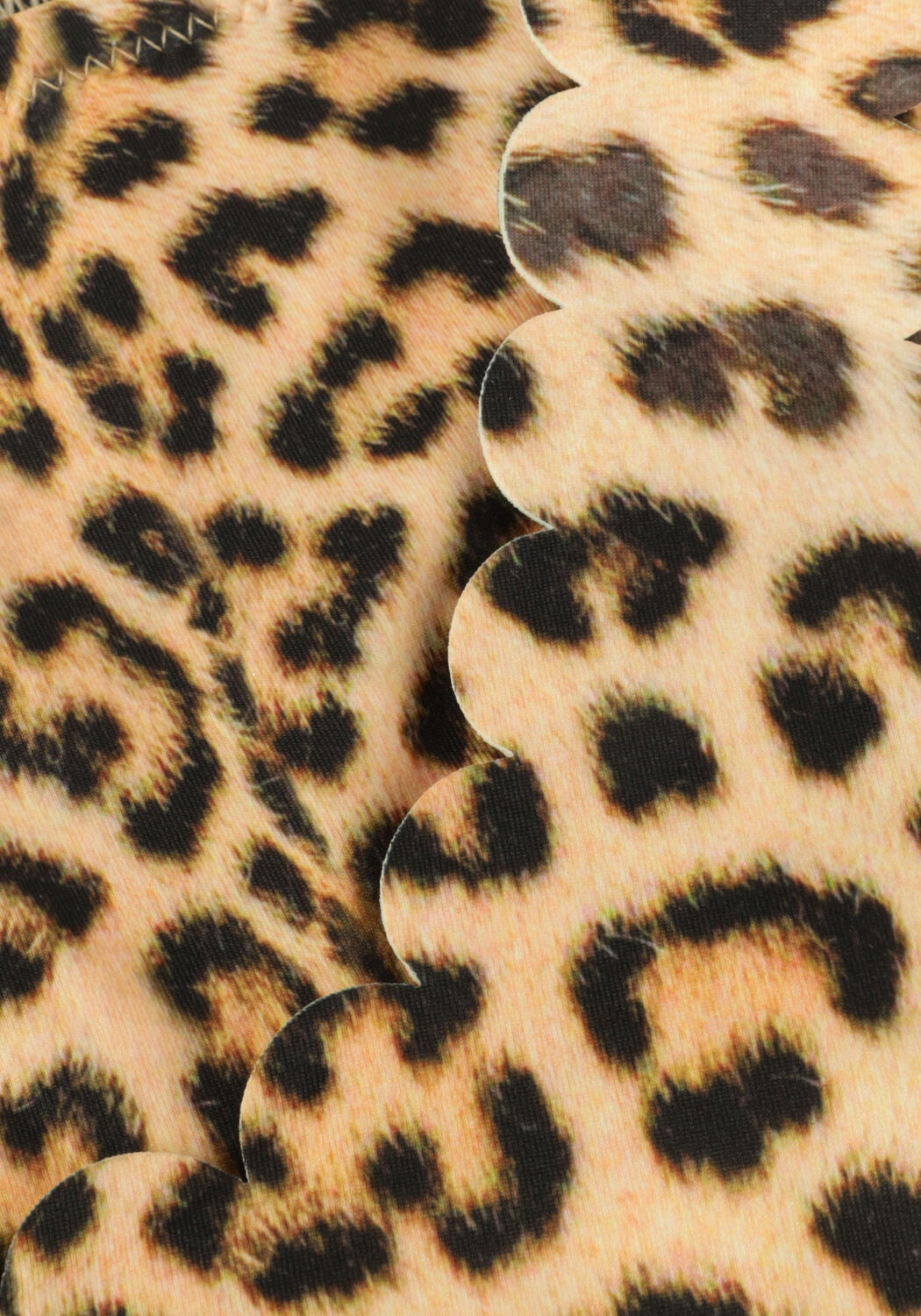 Bruine MOLO Bikini's NOLINA - large