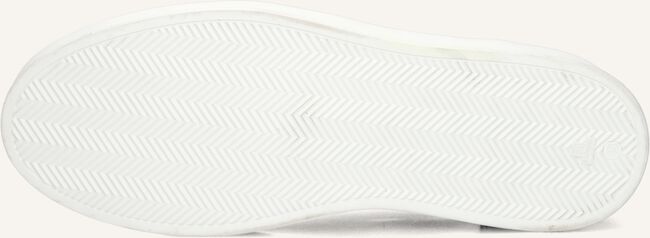 Blauwe STEFANO LAURAN Lage sneakers LJ2502 Blauwe STEFANO LAURAN Lage sneakers LJ2502 - large