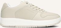 CRUYFF INDOOR ROYAL DAMES - medium