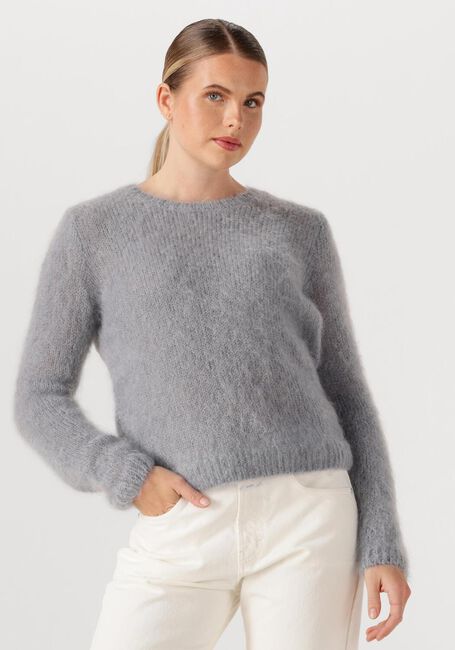 Lichtgrijze DES PETITS HAUTS Trui CHOUKY - large