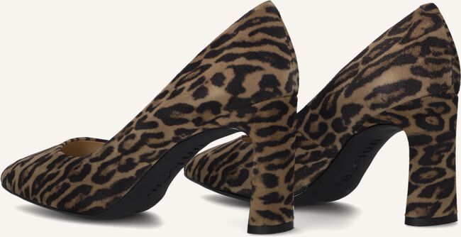 Taupe UNISA Hakken WABA Taupe UNISA Hakken WABA - large