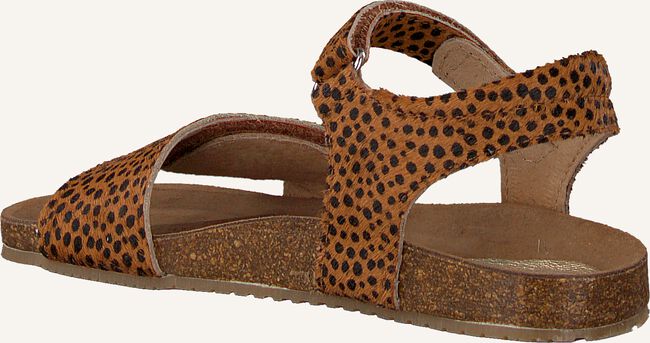 CLIC! CL-GRASS CLIC! CL-GRASS - large