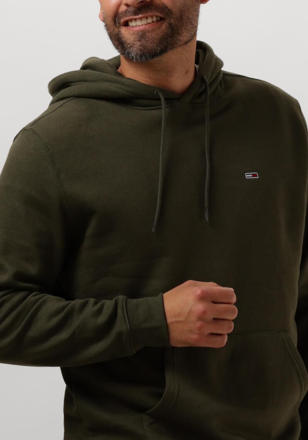 TOMMY JEANS Heren Truien & Vesten Tjm Reg S Flag Hoodie Groen