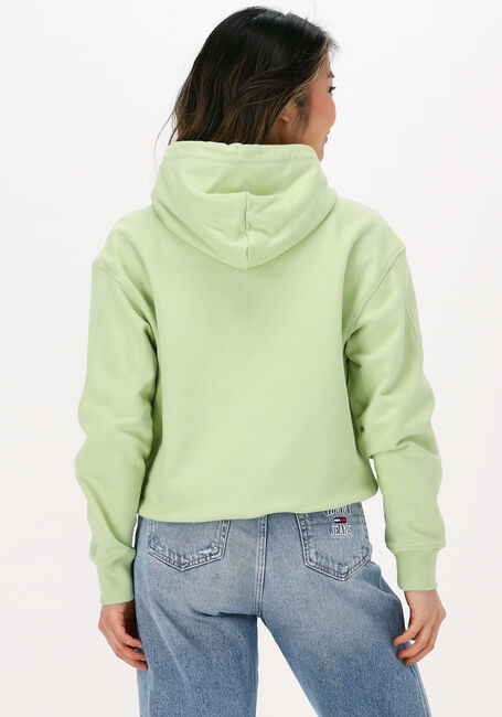 Groene CALVIN KLEIN Sweater STACKED LOGO HOODIE - large