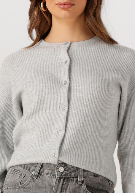 Lichtgrijze PENN & INK Vest CARDIGAN W25B345 - large
