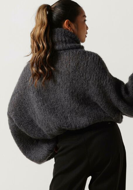Grijze AMERICAN DREAMS Coltrui PEPPER ROLL NECK CROPPED - large
