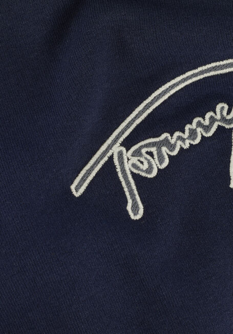 Donkerblauwe TOMMY JEANS Trui TJM REG SIGNATURE HALF ZIP - large