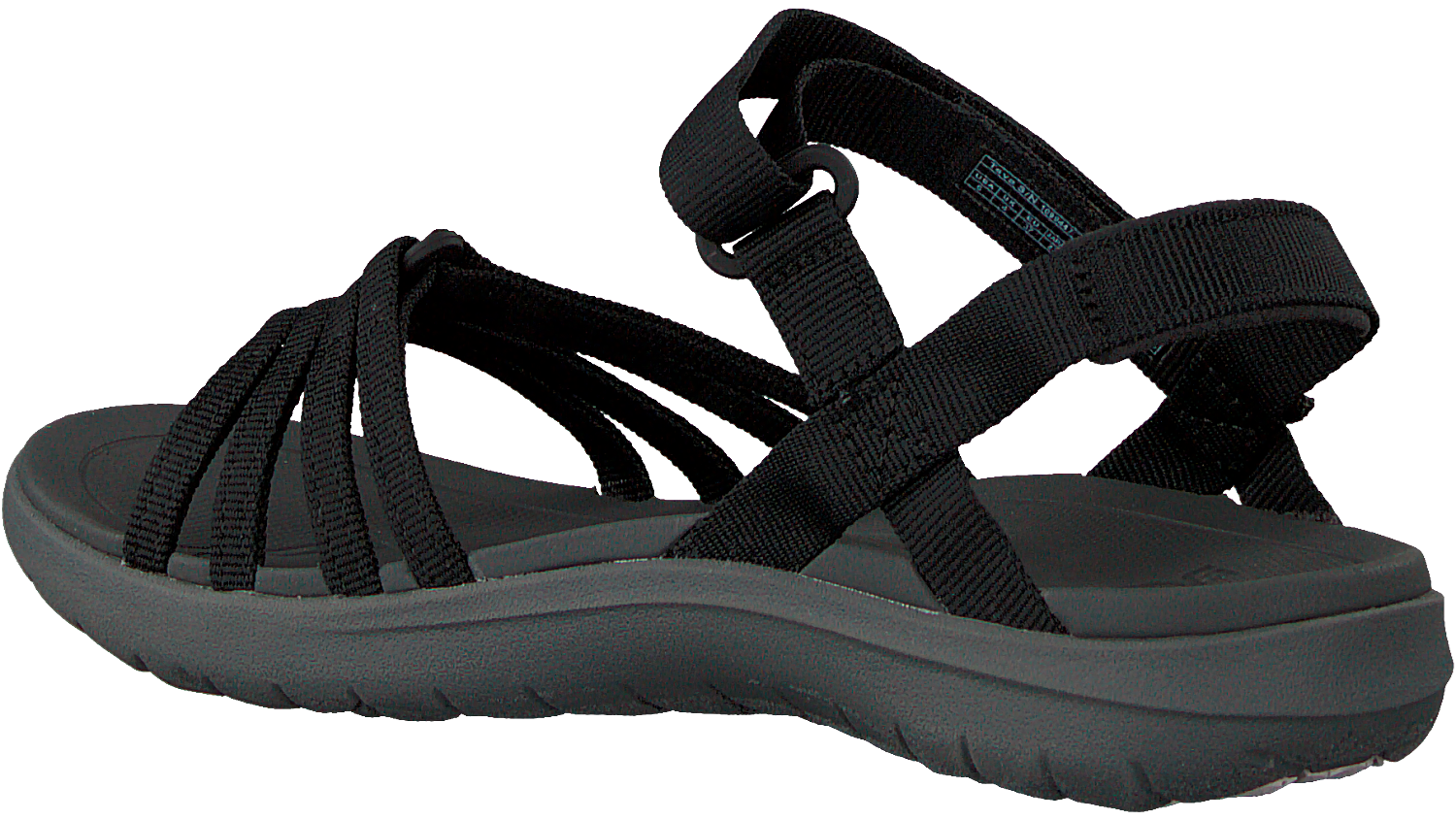 teva w sanborn