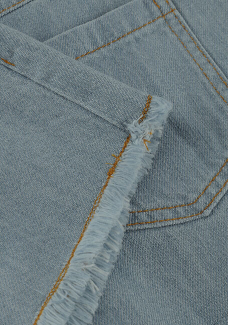 Lichtblauwe PLAY UP Shorts DENIM SHORTS - large