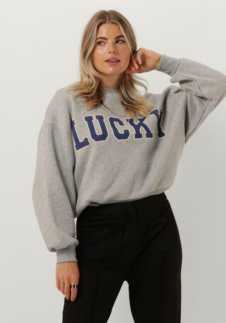 Grijze BY-BAR Sweater BIBI LUCKY VINTAGE SWEATER - large