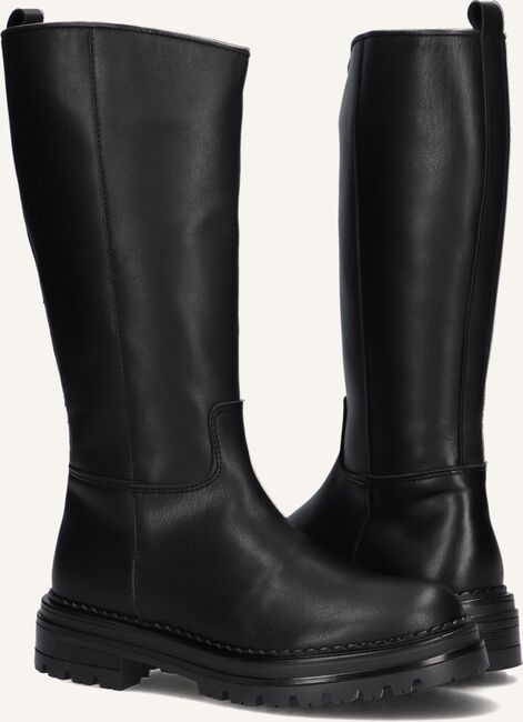 HIP H1624 HIP H1624 - large