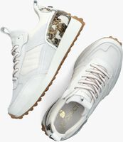 Witte GOOSECRAFT Lage sneakers DANE WOMEN - medium
