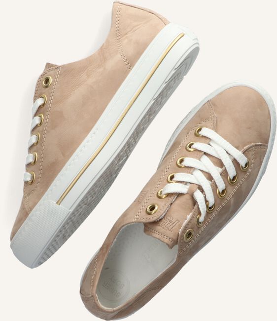 Camel PAUL GREEN Lage sneakers 4704 Camel PAUL GREEN Lage sneakers 4704 - large