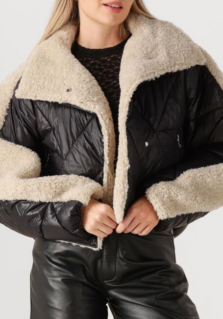 Zwarte IBANA Jack CAELI - large