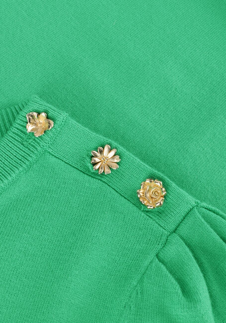 Groene FABIENNE CHAPOT Trui JOLLY PULLOVER Groene FABIENNE CHAPOT Trui JOLLY PULLOVER - large