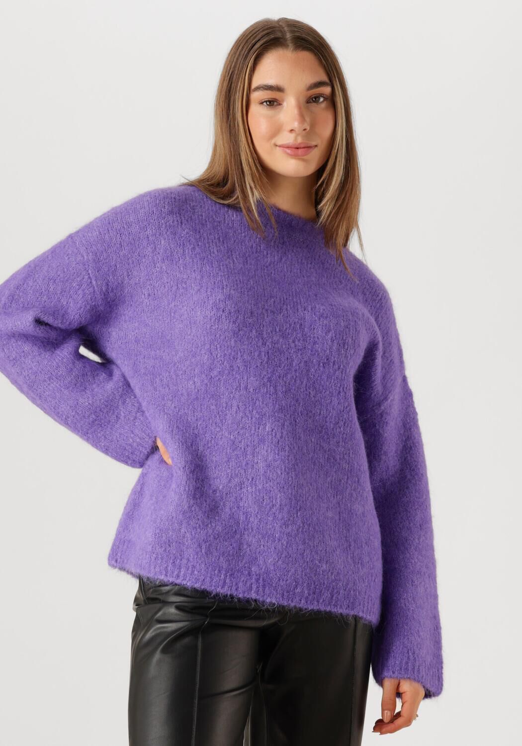 SELECTED FEMME Dames Truien & Vesten Slfgabella Ls Knit O-neck Camp Paars