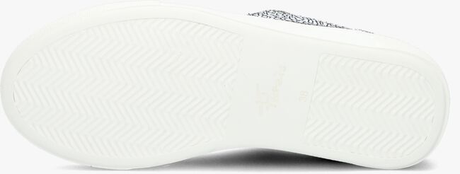 Witte FLORIS VAN BOMMEL Lage sneakers SFW-10059 - large