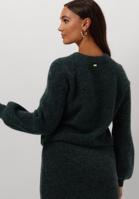 Groene POM AMSTERDAM Trui TEAL GREEN - large