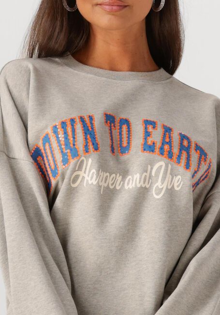 Grijze HARPER & YVE Sweater DOWNTOEARTH-SW - large