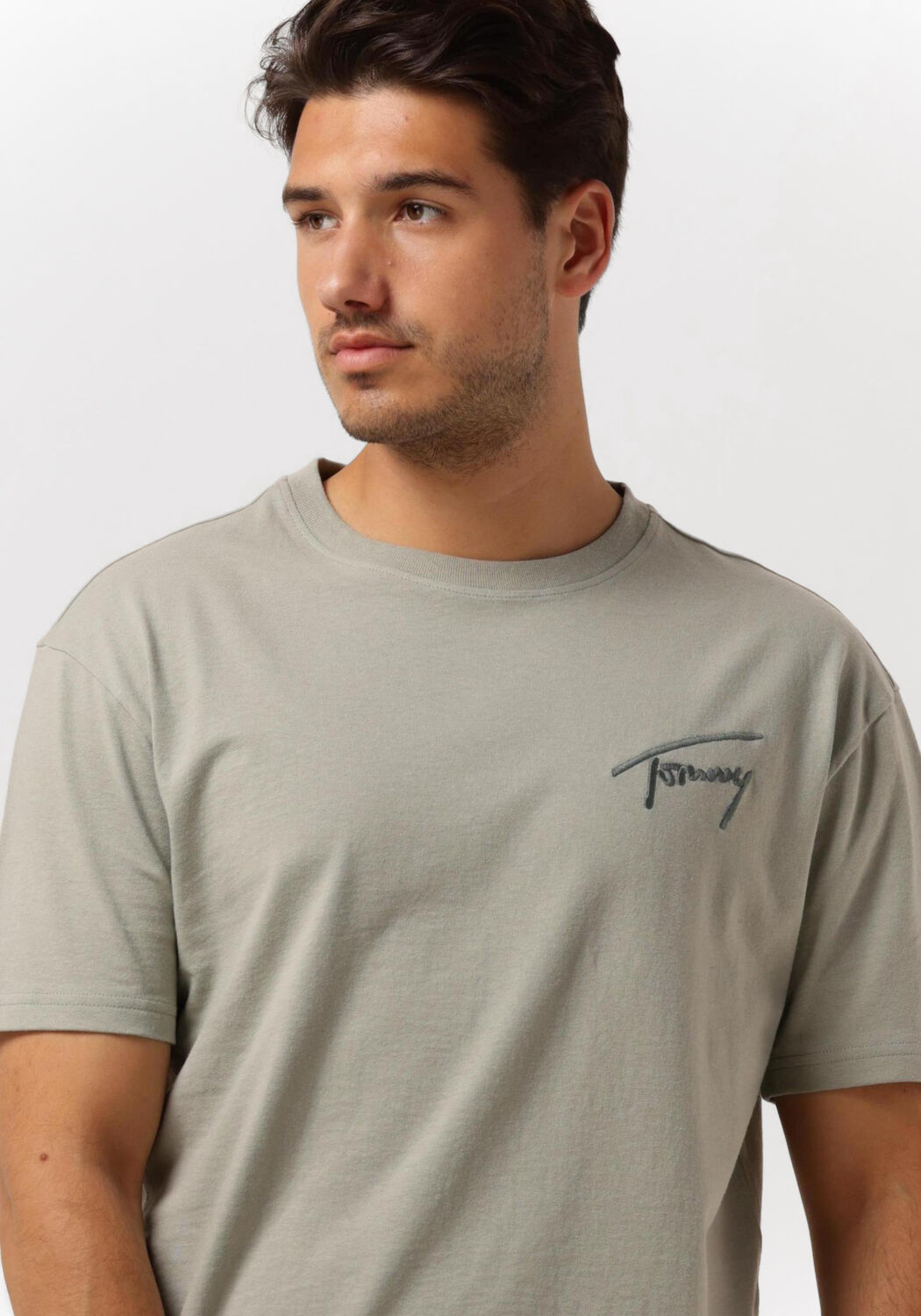 Tee shirt tommy signature hot sale