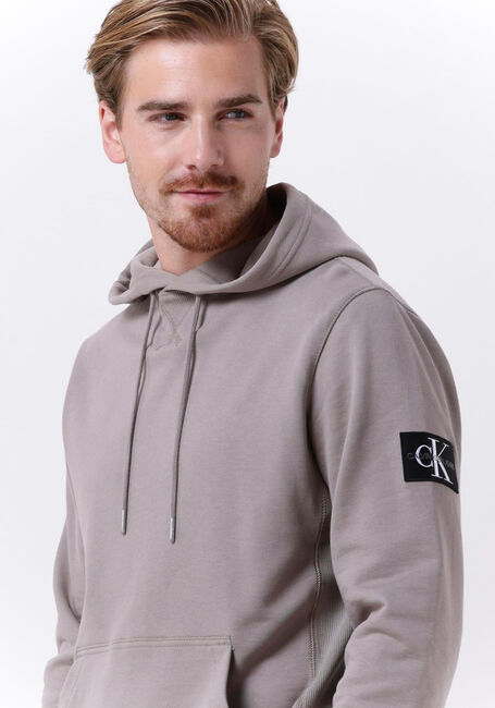 Taupe CALVIN KLEIN Sweater MONOLOGO SLEEVE BADGE HOODIE - large
