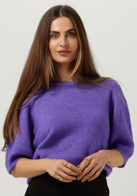 Paarse GESTUZ Trui ALPHAGZ TEE - large