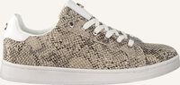 Beige MEXX Lage sneakers EEKE - medium