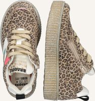 BRAQEEZ PUK PARIS BRAQEEZ PUK PARIS - medium