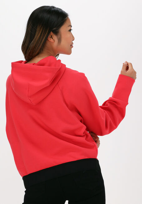 Rode NATIONAL GEOGRAPHIC Sweater CROPPED HOODY - large