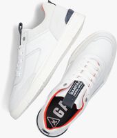 Witte GAASTRA Lage sneakers BARRICK M - medium