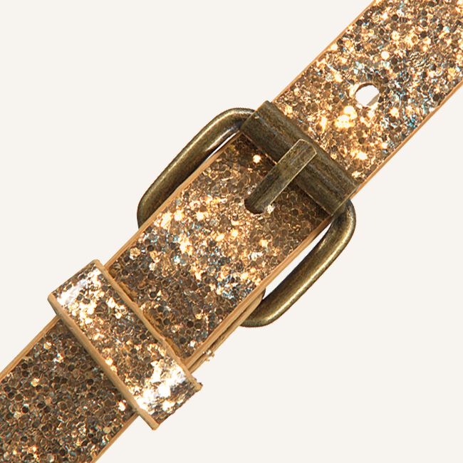 Gouden LE BIG Riem SANDRA BELT Gouden LE BIG Riem SANDRA BELT - large