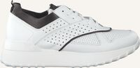 Witte NOTRE-V Lage sneakers AG281 - medium