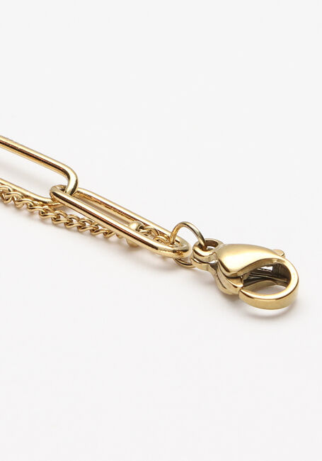 Paarse NOTRE-V Kettingen KETTING DUBBEL CHAIN - large