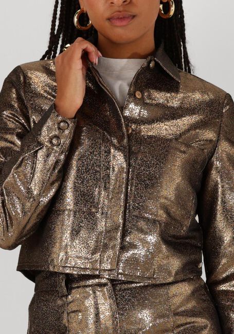 Gouden JOSH V Blouses DAVIS - large