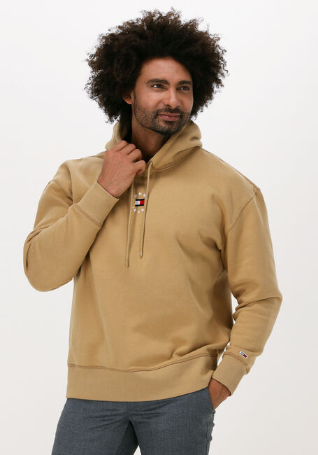 Khaki TOMMY JEANS Sweater TJM TINY TOMMY CIRCULAR HOODIE - large