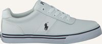 Witte POLO RALPH LAUREN Lage sneakers HANFORD KIDS - medium