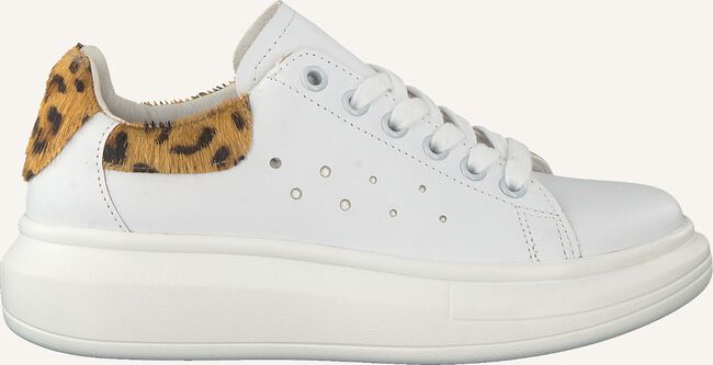 Witte BRAQEEZ Lage sneakers ALBA ALEX Witte BRAQEEZ Lage sneakers ALBA ALEX - large