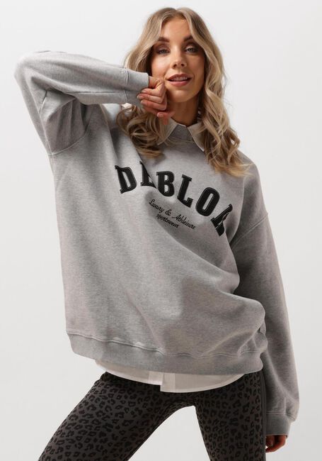 Grijze DEBLON SPORTS Sweater PUCK SWEATER - large