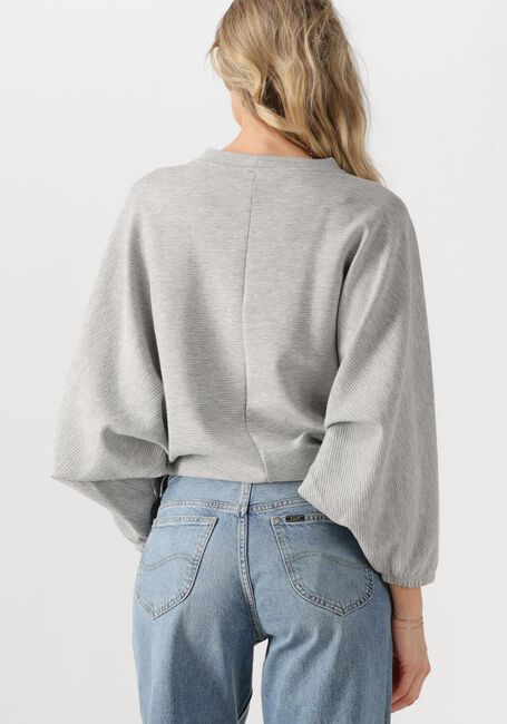 Grijze MINUS Trui KOLINI SWEAT - large