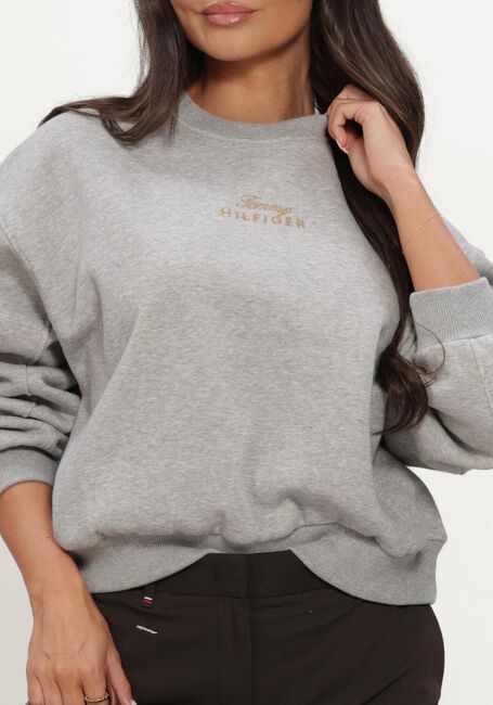 Grijze TOMMY HILFIGER Sweater GOLD SCRIPT FLEECE RLX C-NK SWT - large