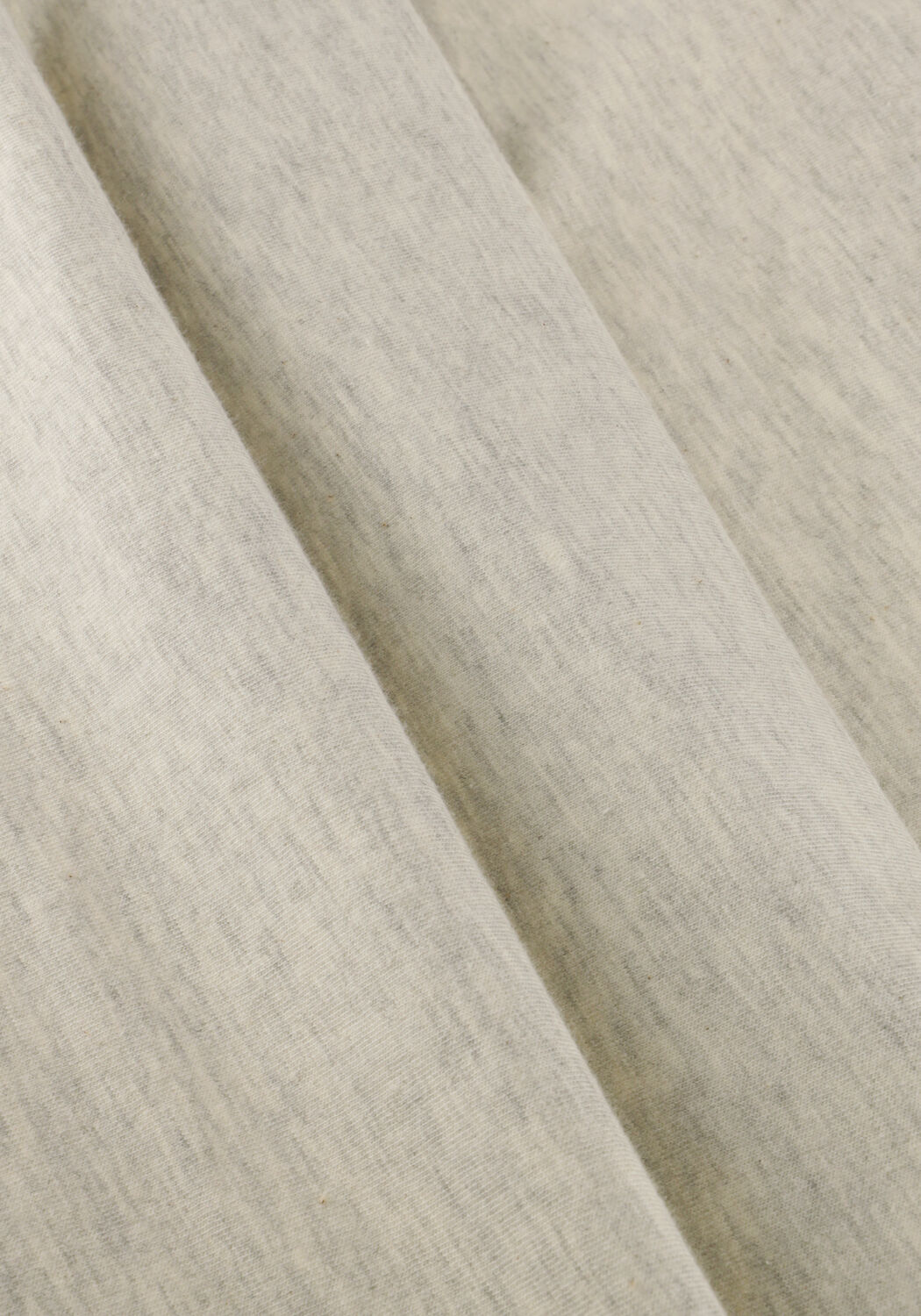 Lichtgrijze RAIZZED T-shirt HOFFICIAL - large