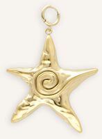 Goudkleurig BONNIE STUDIOS Bedels GOLD STAR PENDANT Goudkleurig BONNIE STUDIOS Bedels GOLD STAR PENDANT - medium