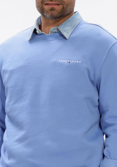 Lichtblauwe TOMMY JEANS Sweater TJM REG BADGE HOODIE EXT - large
