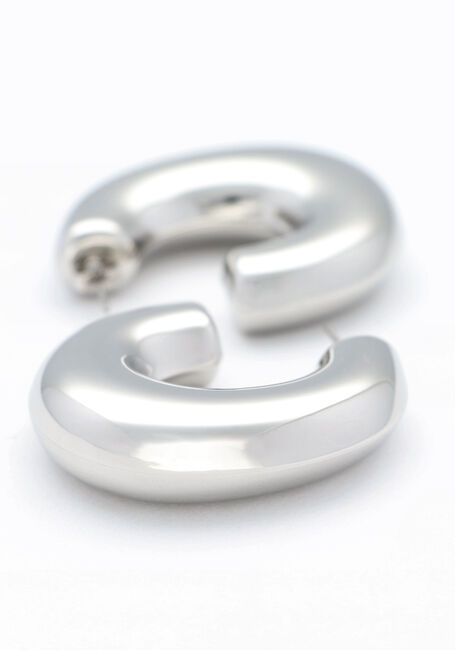 Zilverkleurig NOTRE-V Oorbellen EARRING BIG - large