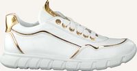 Witte JOCHIE & FREAKS Lage sneakers 20504 - medium