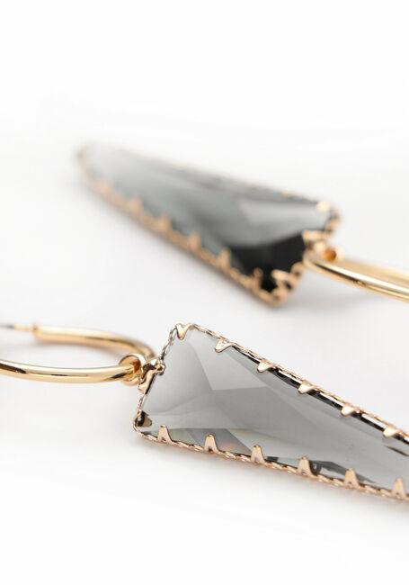 Goudkleurig NOTRE-V Oorbellen EARRING STONE - large