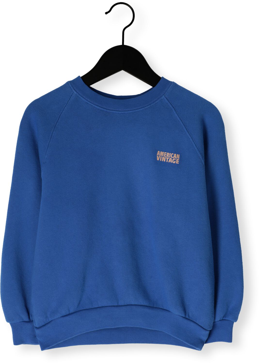 AMERICAN VINTAGE Meisjes Truien & Vesten Izubird Blauw