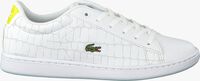 Witte LACOSTE Lage sneakers CARNABY EVO 118 1 SPC - medium