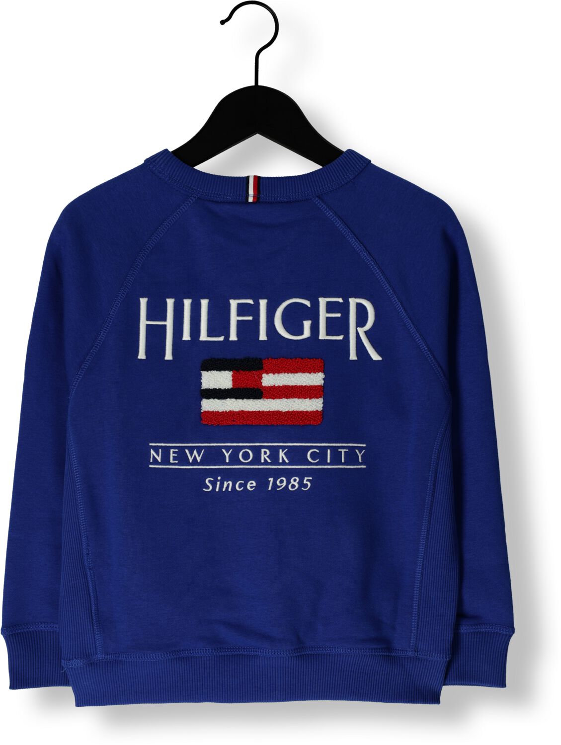 TOMMY HILFIGER Jongens Truien & Vesten Hilfiger Flag Relaxed Sweatshirt Blauw