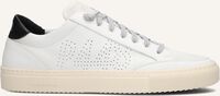 Witte P448 Lage sneakers SOHO MEN - medium